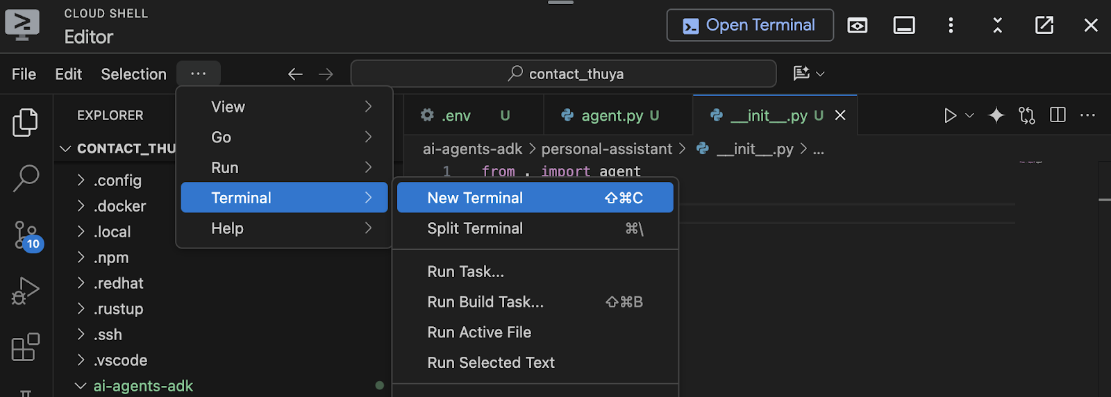 Abrir nueva terminal